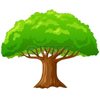 Arbol Lectura Cafe Cafeomancia Interpretacion Simbolos Significado