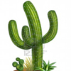 Cactus Lectura Cafe Cafeomancia Interpretacion Simbolos Significado
