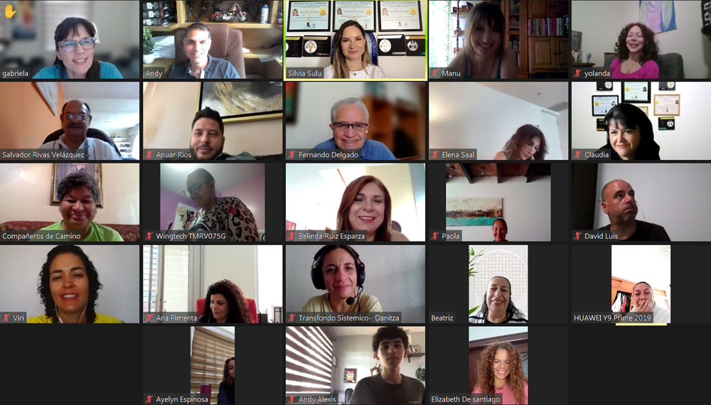 Participantes Primer Curso Explicativo Leyes Energeticas Zoom