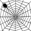 Tela Araña Lectura Cafe Cafeomancia Interpretacion Simbolos Significado